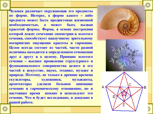 Презентация на тему гармония золотого сечения