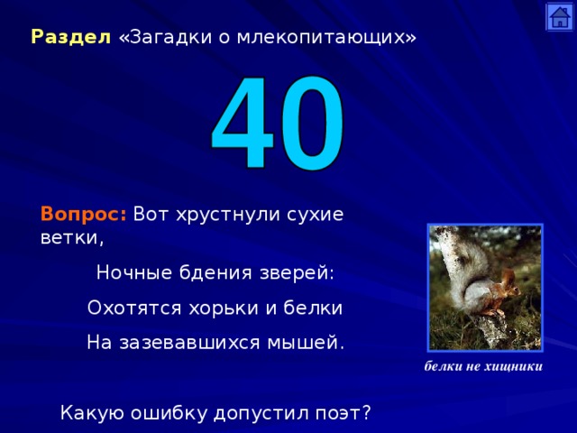 Вопросы по млекопитающим 7 класс. Загадки про млекопитающих. Загадки по млекопитающим. Загадки про млекопитающих с ответами. Вопросы про млекопитающих.