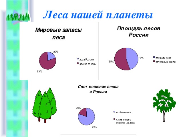 Наименьшая площадь лесов. Площадь леса. Площадь лесов на планете. Площадь леса в России.