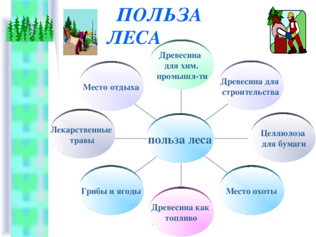 Польза деревьев. Польза леса для человека. Чем полезен лес для человека. Польза леса для человека для детей. Польза деревьев для дошкольников.