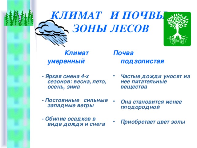 Климатические лесные проекты