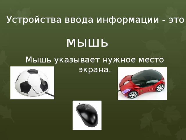 Устройства ввода информации - это мышь Мышь указывает нужное место экрана. 