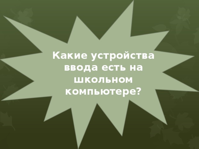 Какие устройства  ввода есть на школьном компьютере? 