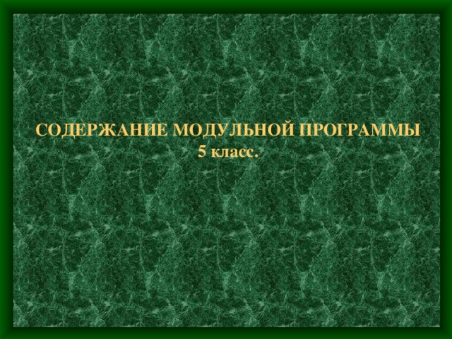 СОДЕРЖАНИЕ МОДУЛЬНОЙ ПРОГРАММЫ  5 класс. 