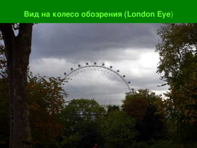 Вид на колесо обозрения ( London Eye ) 