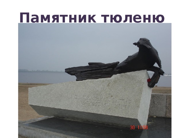 Памятник тюленю 