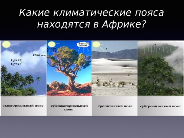 Какие климатические пояса находятся в Африке? 