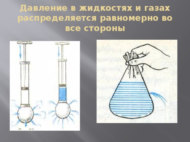 Давление в жидкостях и газах распределяется равномерно во все стороны 