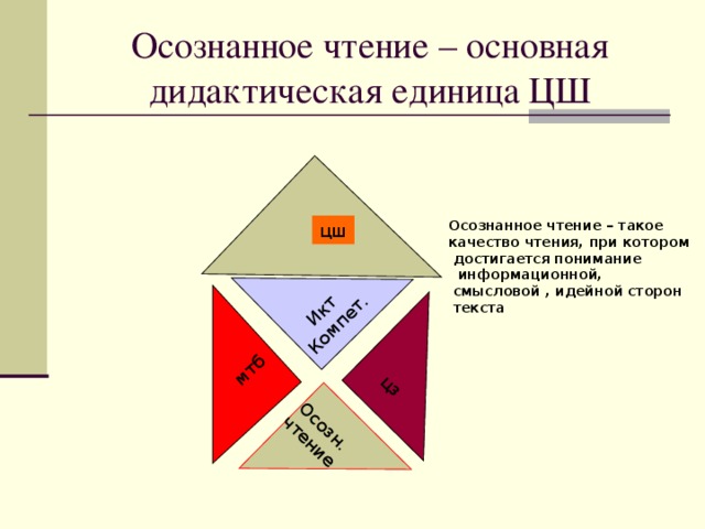 Осознанное чтение проект