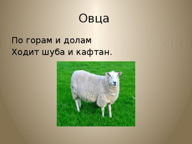 Загадка по горам по долам ходит. По горам по долам ходит шуба. Загадка по горам по долам. По горам по долам ходит шуба да кафтан ответ. Отгадай загадку по горам по долам ходит шуба да кафтан.