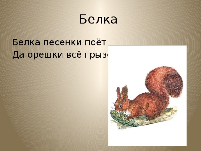 Песня белки