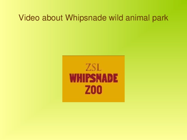 Video about Whipsnade wild animal park 