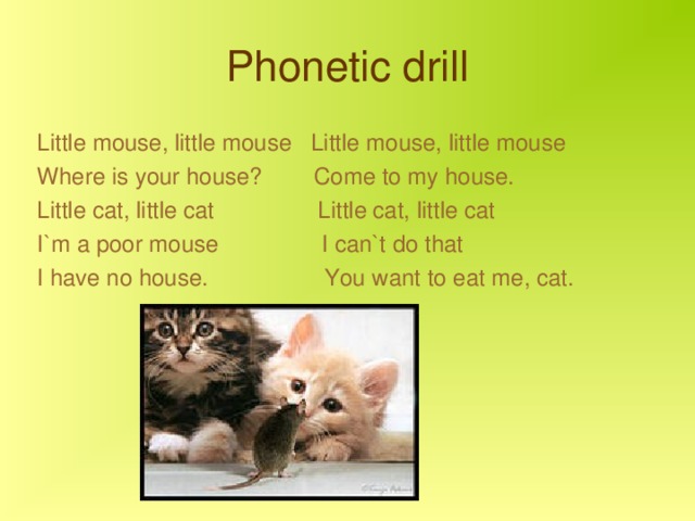 Phonetic drill Little mouse, little mouse Little mouse, little mouse Where is your house? Come to my house. Little cat, little cat Little cat, little cat I`m a poor mouse I can`t do that I have no house. You want to eat me, cat. 