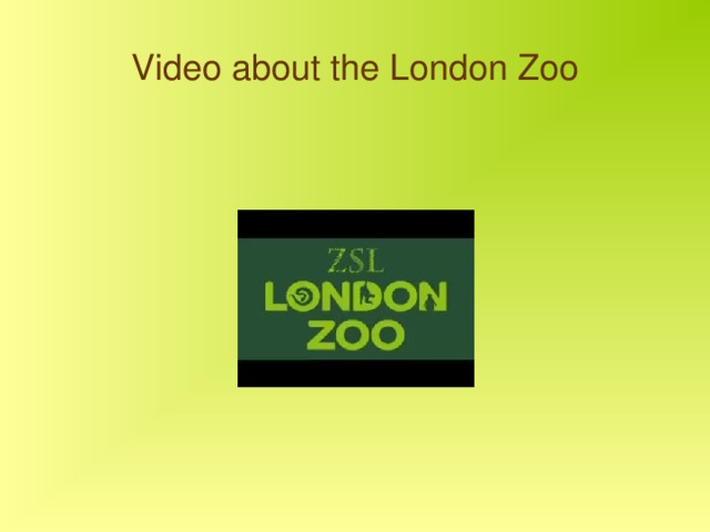 Video about the London Zoo 