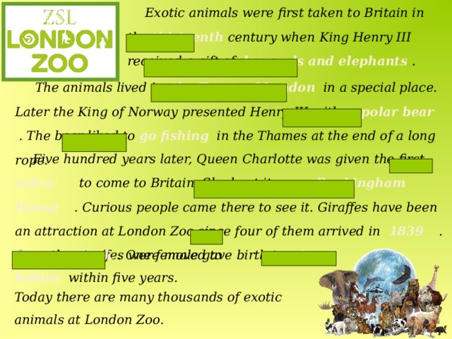 E xotic animals were first taken to Britain in the thirteenth century when King Henry III received a gift of   leopards and elephants  . thirteenth leopards and elephants  The animals lived in the Tower of London in a special place. Later the King of Norway presented Henry III with a polar bear   . The bear liked to go fishing in the Thames at the end of a long rope. the Tower of London a polar bear go fishing   Five hundred years later, Queen Charlotte was given the first zebra   to come to Britain. She kept it near Buckingham House    . Curious people came there to see it. Giraffes have been an attraction at London Zoo since four of them arrived in 1839   . Soon the giraffes were moved to zebra near Buckingham House 1839 Regent's Park  . One female gave birth to six babies within five years.   Regent's Park six babies Today there are many thousands of exotic animals at London Zoo. 