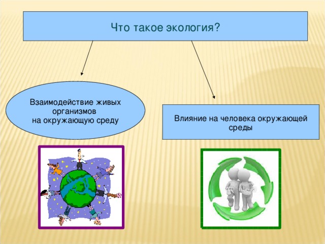Что такое экология? Взаимодействие живых организмов на окружающую среду Влияние на человека окружающей среды  
