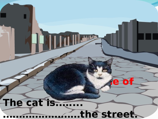 in the middle of The cat is.…....……………………the stree t . 