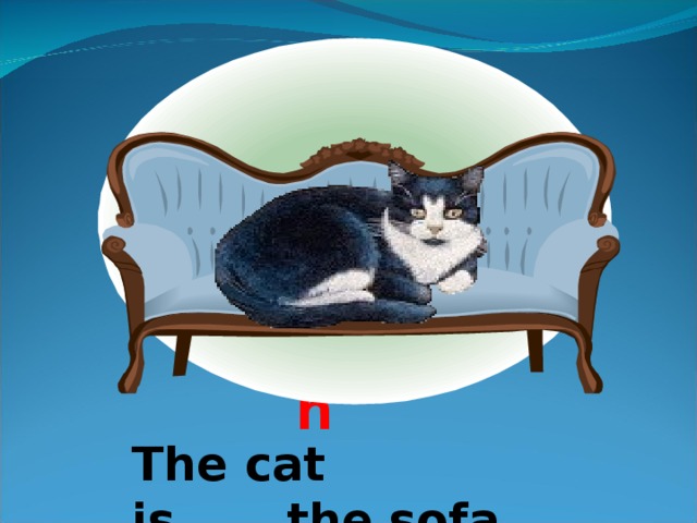 on The cat is…….the sofa 