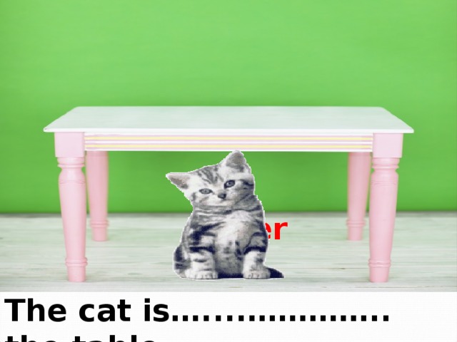 under under The cat is…....………….. the table. 