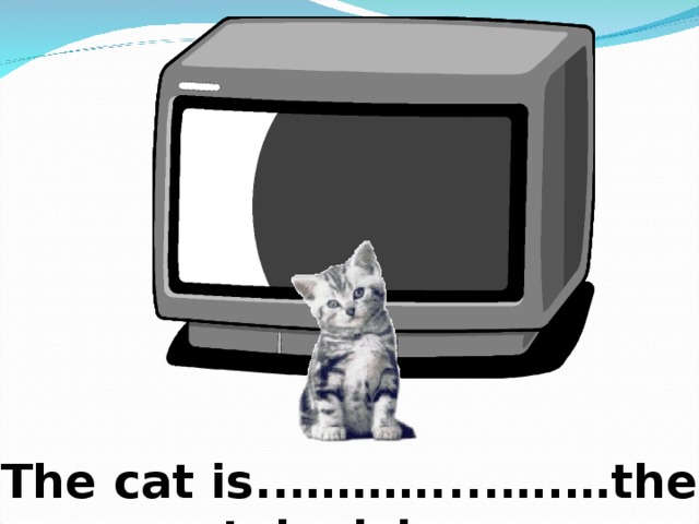 in front of The cat is..………....….…the television 