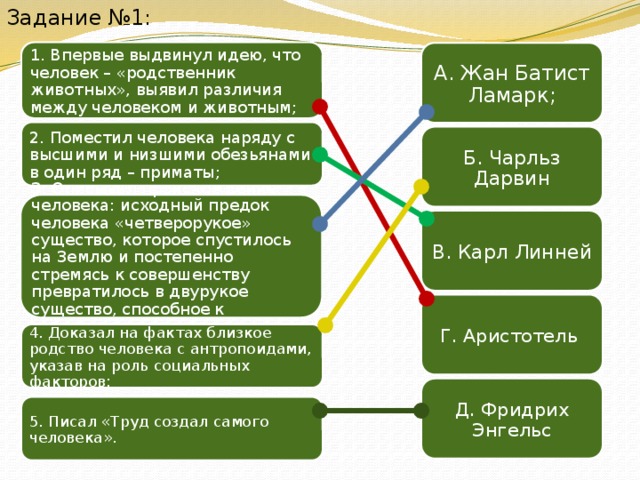 План рассказа о родственных связях между животными укажите место человека в живой природе