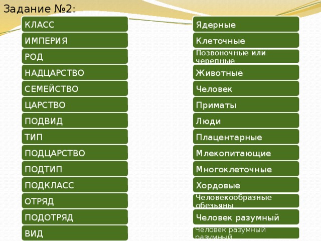 Характеристика человека как животного. Царство Тип Подтип класс. Царство Тип класс род. Царство Подцарство Тип вид. Отряд род вид класс.