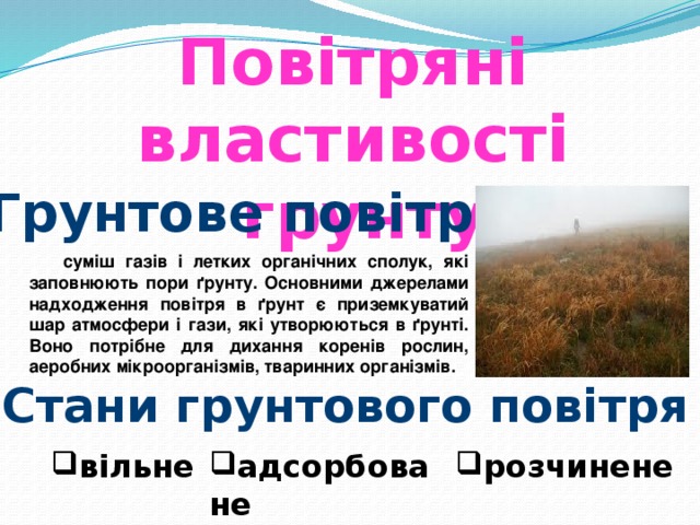 Повітряні властивості грунту Грунтове повітря суміш газів і летких органічних сполук, які заповнюють пори ґрунту. Основними джерелами надходження повітря в ґрунт є приземкуватий шар атмосфери і гази, які утворюються в ґрунті. Воно потрібне для дихання коренів рослин, аеробних мікроорганізмів, тваринних організмів. Стани грунтового повітря вільне адсорбоване розчинене 