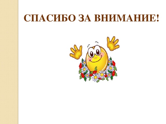 СПАСИБО ЗА ВНИМАНИЕ! 