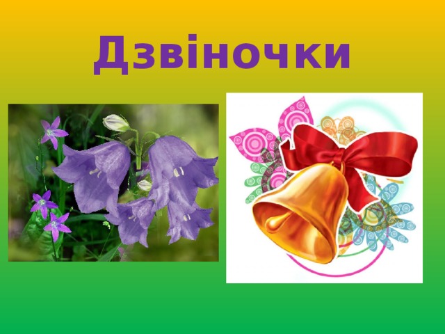 Дзвіночки 