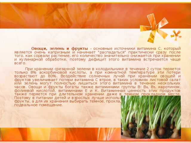  Овощи, зелень и фрукты - основные источники витамина С, который является очень капризным и начинает 