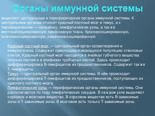 выделяют центральные и периферические органы иммунной системы. К центральным органам относят красный костный мозг и тимус, а к периферическим — селезёнку, лимфатические узлы, а также местноассоциированную лимфоидную ткань: бронхассоциированную, кожноассоциированную, кишечноассоциированную Красный костный мозг — центральный орган кроветворения и иммуногенеза. Содержит самоподдерживающуюся популяцию стволовых клеток. Красный костный мозг находится в ячейках губчатого вещества плоских костей и в эпифизах трубчатых костей. Здесь происходит дифференцировка В-лимфоцитов из предшественников. Содержит также Т-лимфоциты. Тимус — центральный орган иммунной системы. В нём происходит дифференцировка Т-лимфоцитов из предшественников, поступающих из красного костного мозга. Лимфатические узлы — периферические органы иммунной системы. Они располагаются по ходу лимфатических сосудов. В каждом узле выделяют корковое и мозговое вещество. В корковом веществе есть В-зависимые зоны и Т-зависимые зоны. В мозговом есть только Т-зависимые зоны. 