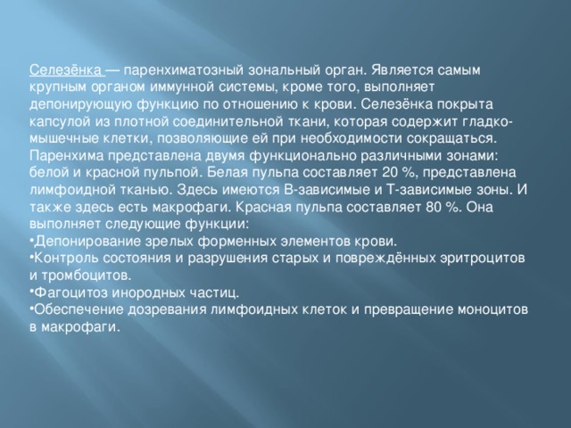 Селезёнка — паренхиматозный зональный орган. Является самым крупным органом иммунной системы, кроме того, выполняет депонирующую функцию по отношению к крови. Селезёнка покрыта капсулой из плотной соединительной ткани, которая содержит гладко-мышечные клетки, позволяющие ей при необходимости сокращаться. Паренхима представлена двумя функционально различными зонами: белой и красной пульпой. Белая пульпа составляет 20 %, представлена лимфоидной тканью. Здесь имеются В-зависимые и Т-зависимые зоны. И также здесь есть макрофаги. Красная пульпа составляет 80 %. Она выполняет следующие функции: Депонирование зрелых форменных элементов крови. Контроль состояния и разрушения старых и повреждённых эритроцитов и тромбоцитов. Фагоцитоз инородных частиц. Обеспечение дозревания лимфоидных клеток и превращение моноцитов в макрофаги. 