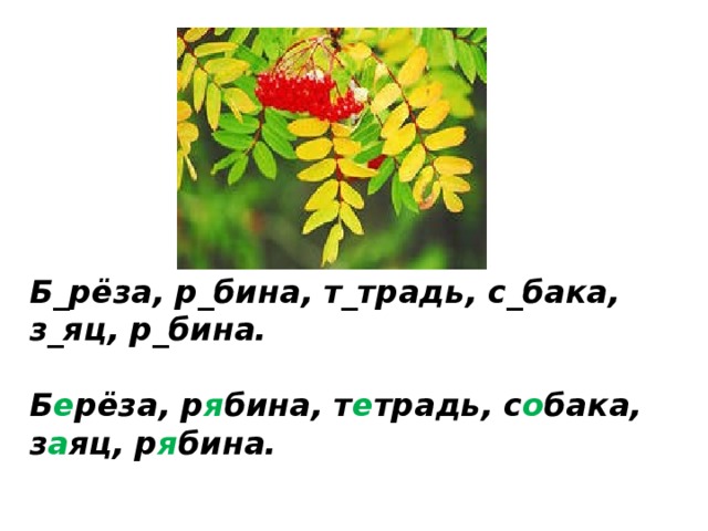      Б_рёза, р_бина, т_традь, с_бака, з_яц, р_бина.   Б е рёза, р я бина, т е традь, с о бака, з а яц, р я бина.    