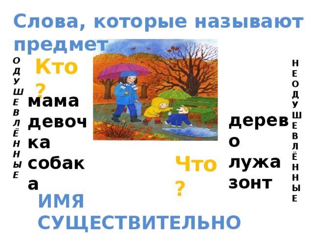 Слова, которые называют предмет Кто? О Д У Ш Е В Л Ё Н Н Ы Е  Н Е О Д У Ш Е В Л Ё Н Н Ы Е мама девочка собака дерево лужа зонт Что? ИМЯ СУЩЕСТВИТЕЛЬНОЕ 