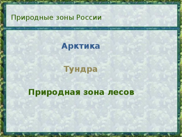 Природные зоны России Арктика Тундра Природная зона лесов 