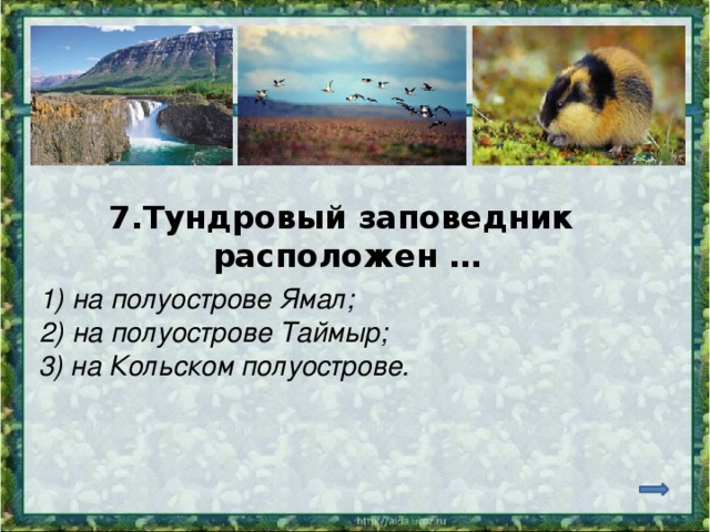 7.Тундровый заповедник расположен … 1) на полуострове Ямал; 2) на полуострове Таймыр; 3) на Кольском полуострове. 