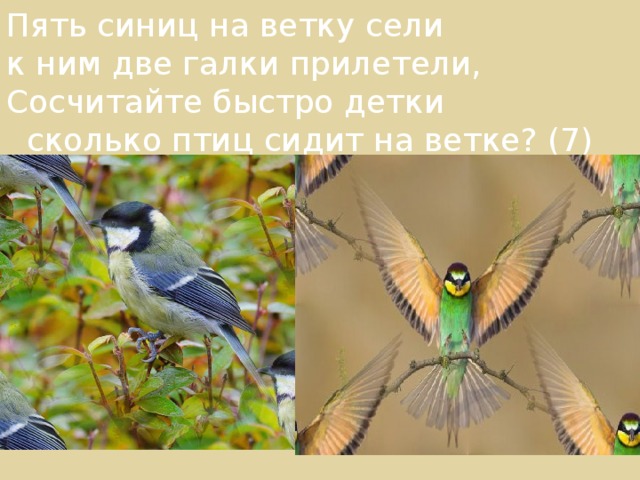 Пять синиц на ветку сели к ним две галки прилетели, Сосчитайте быстро детки  сколько птиц сидит на ветке? (7) 