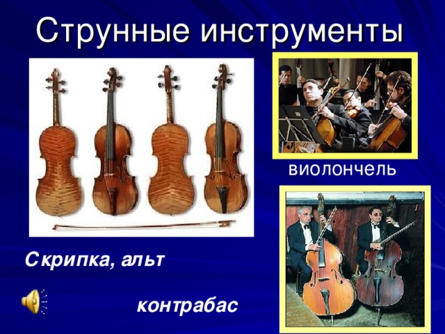Струнные инструменты виолончель Скрипка, альт контрабас 