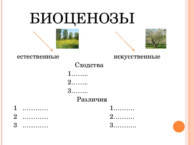 Презентация на тему естественные и искусственные биоценозы 7 класс