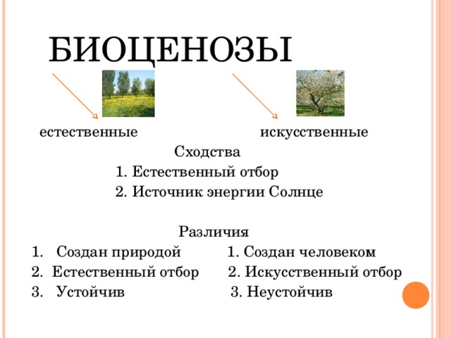Примерами естественной смены экосистем являются. Естественные и искусственные биоценозы. Биоценоз примеры. Структура биоценоза. Различия естественного и искусственного биогеоценоза.