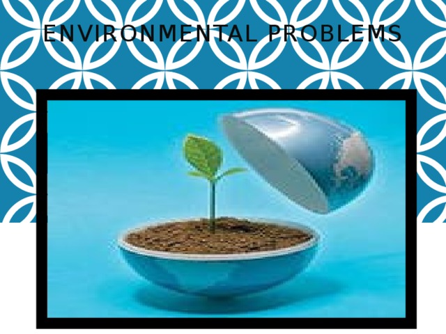  Environmental problems 