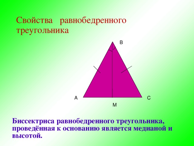 Свойства равнобедренного треугольника В А С М Биссектриса равнобедренного треугольника, проведённая к основанию является медианой и высотой. 