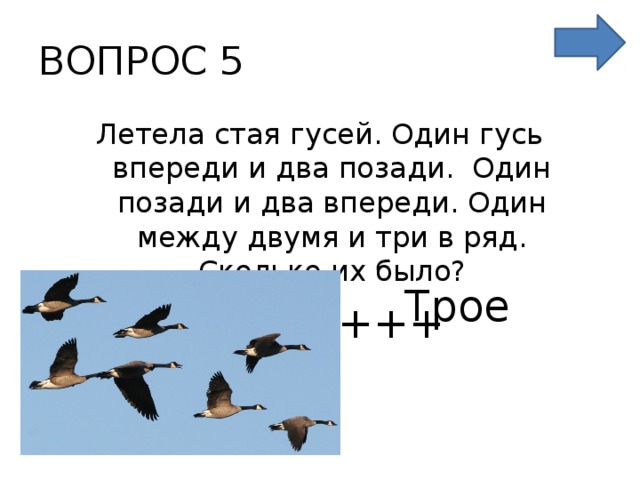 Найдите предложение соответствующее схеме гуси высоко летят