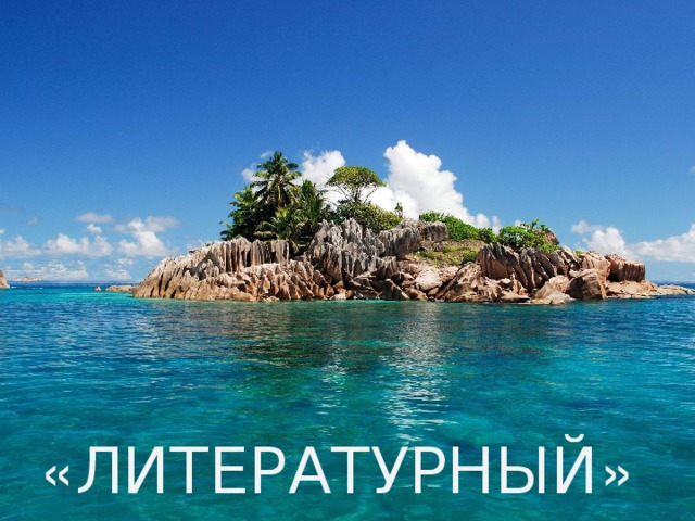 « ЛИТЕРАТУРНЫЙ » 