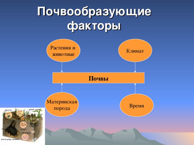 Почвообразования почв. Почвообразующие факторы. Перечислите почвообразующие факторы. Почвообразующие факторы таблица. Почвообразующие растения.