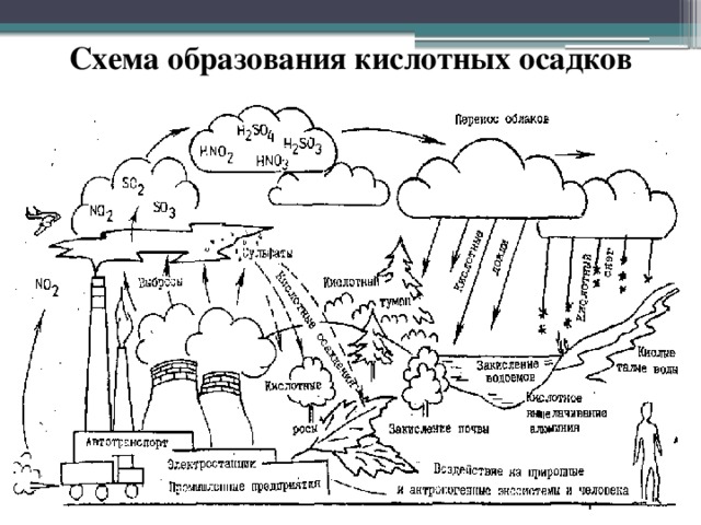 Схема образования кислотных дождей