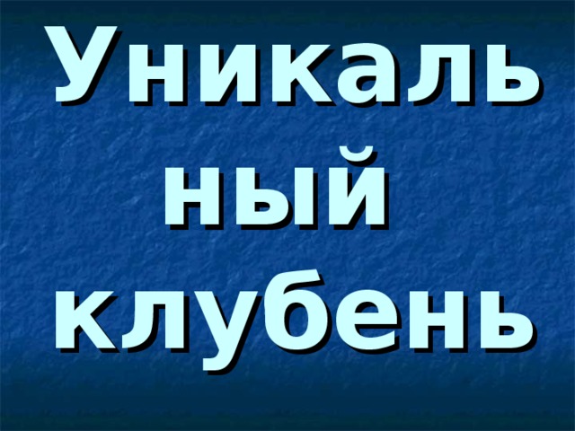 Уникальный  клубень 