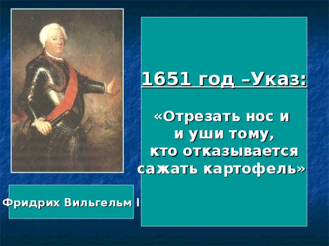 1651 год –Указ:  «Отрезать нос и и уши тому,  кто отказывается сажать картофель» Фридрих Вильгельм I 