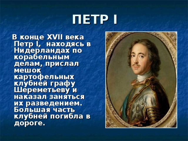 ПЕТР I  В конце Х VII века Петр I ,  находясь в Нидерландах по корабельным делам, прислал мешок картофельных клубней графу Шереметьеву и наказал заняться их разведением. Большая часть клубней погибла в дороге. 