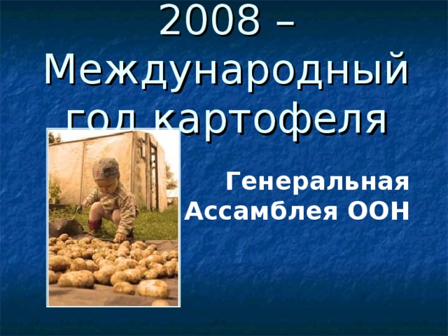 2008 – Международный год картофеля Генеральная  Ассамблея ООН 